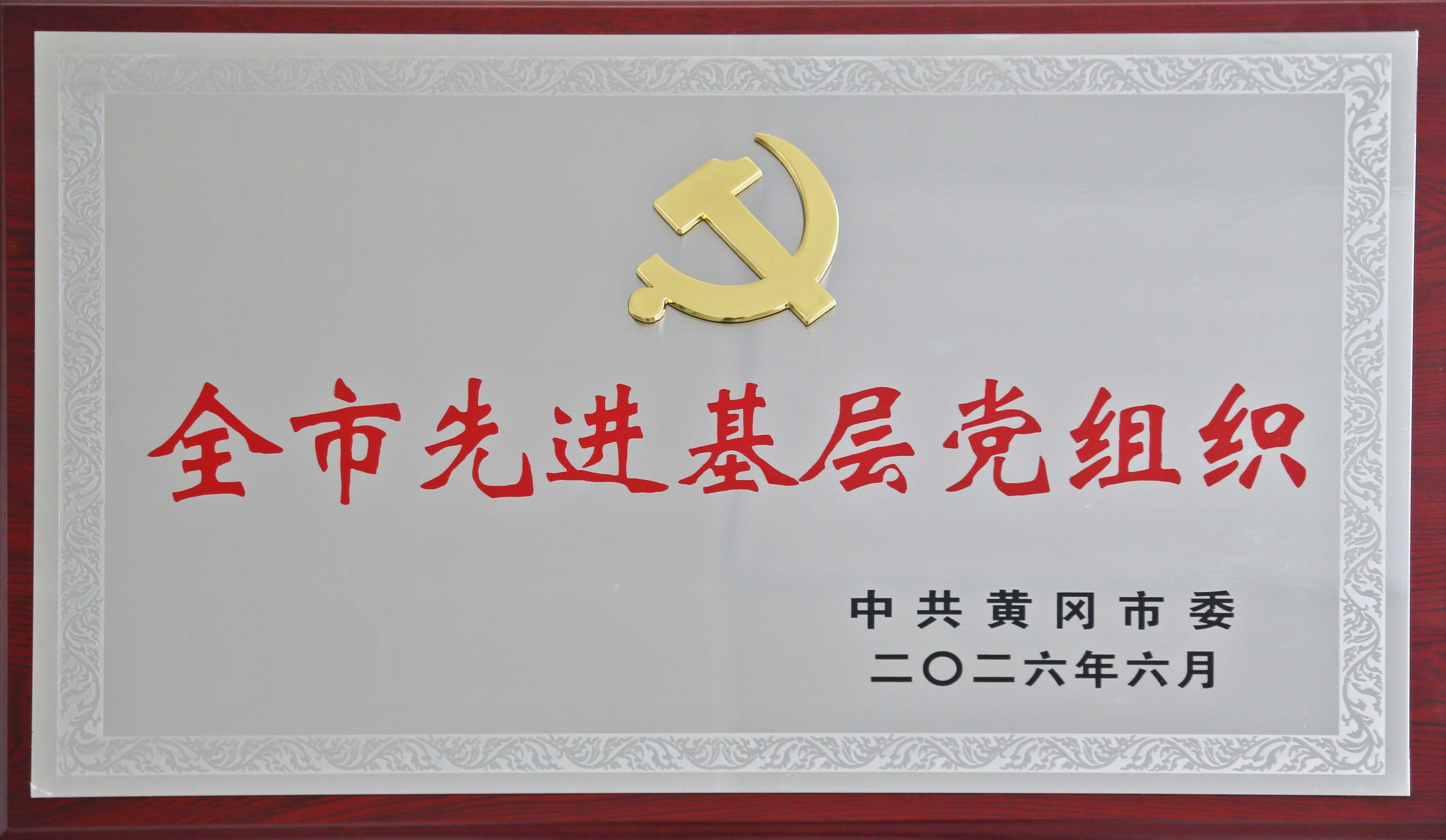 喜报丨我院1个基层党组织、1名共产党员分别获全市、全县“两优一先”表彰